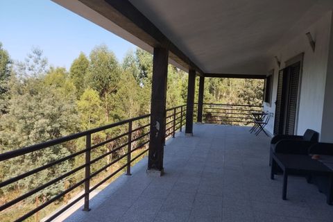 Farm i Talhadas, Aveiro, Talhadas - € 600.000 | Ref: 539 - foto 6