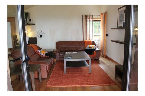 Farm i Talhadas, Aveiro, Talhadas - € 600.000 | Ref: 539 - foto 9