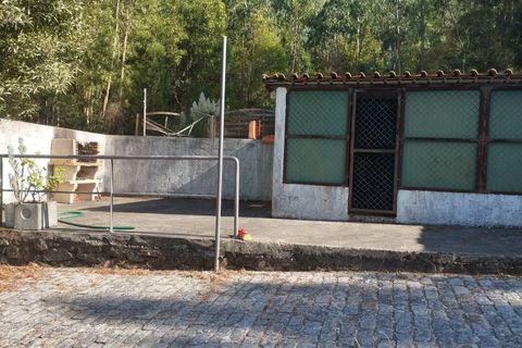 Farm i Talhadas, Aveiro, Talhadas - € 600.000 | Ref: 539 - foto 36
