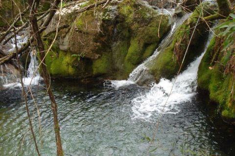 Farm i Talhadas, Aveiro, Talhadas - € 600.000 | Ref: 539 - foto 37