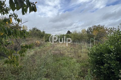 Villa i Vimy, Pas-de-Calais, Vimy - € 368.000 | Ref: lie16883 - foto 8