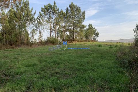 Helårsgrund i Paredes, Porto, Paredes - € 37.000 | Ref: 4917 - foto 5