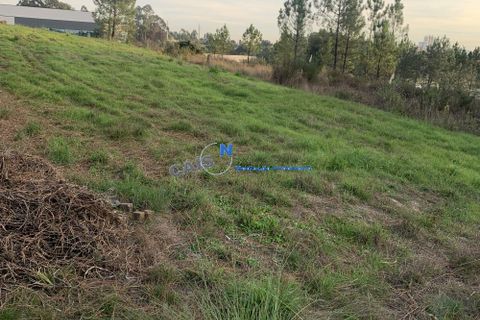Helårsgrund i Paredes, Porto, Paredes - € 37.000 | Ref: 4917 - foto 6