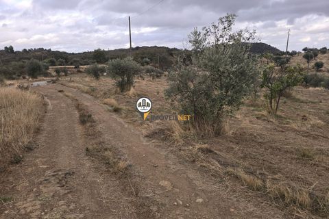 Helårsgrund i Castelo Branco, Castelo Branco, Castelo Branco - € 300.000 | Ref: 2912 - foto 4