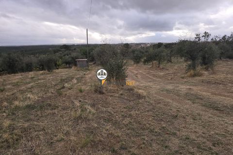 Helårsgrund i Castelo Branco, Castelo Branco, Castelo Branco - € 300.000 | Ref: 2912 - foto 6