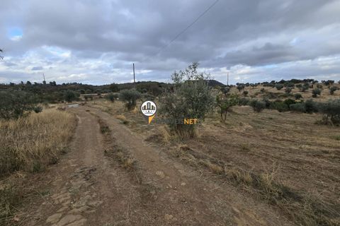 Helårsgrund i Castelo Branco, Castelo Branco, Castelo Branco - € 300.000 | Ref: 2912 - foto 8