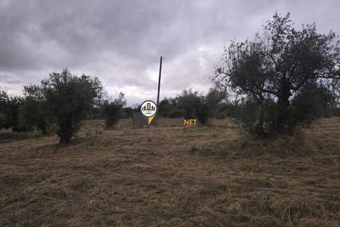 Helårsgrund i Castelo Branco, Castelo Branco, Castelo Branco - € 300.000 | Ref: 2912 - foto 13