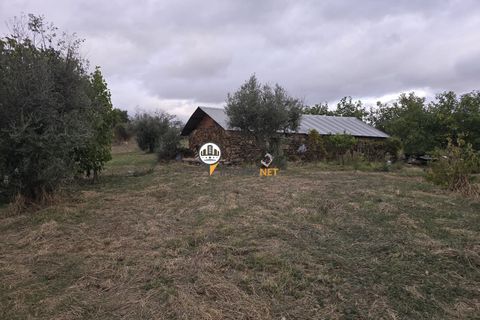 Helårsgrund i Castelo Branco, Castelo Branco, Castelo Branco - € 300.000 | Ref: 2912 - foto 20