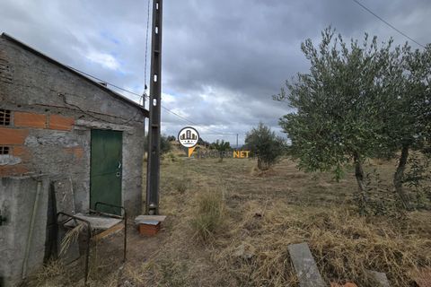 Helårsgrund i Castelo Branco, Castelo Branco, Castelo Branco - € 300.000 | Ref: 2912 - foto 23