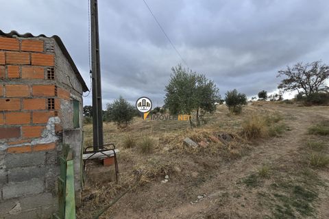 Helårsgrund i Castelo Branco, Castelo Branco, Castelo Branco - € 300.000 | Ref: 2912 - foto 24