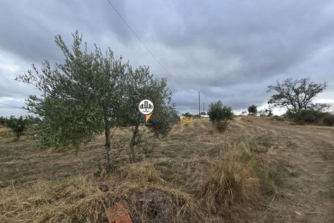 Helårsgrund i Castelo Branco, Castelo Branco, Castelo Branco - € 300.000 | Ref: 2912 - foto 27