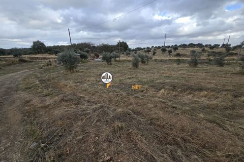 Helårsgrund i Castelo Branco, Castelo Branco, Castelo Branco - € 300.000 | Ref: 2912 - foto 29