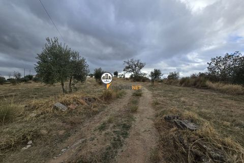 Helårsgrund i Castelo Branco, Castelo Branco, Castelo Branco - € 300.000 | Ref: 2912 - foto 31