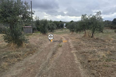 Helårsgrund i Castelo Branco, Castelo Branco, Castelo Branco - € 300.000 | Ref: 2912 - foto 35