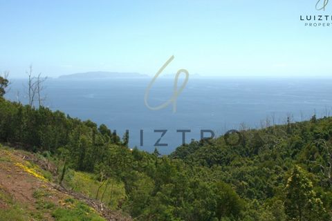 Terreno en Gaula, Madeira, Gaula - € 650.000 | Ref: TER_50 - photo 2