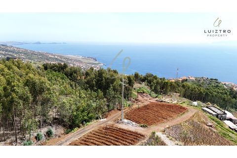 Terreno en Gaula, Madeira, Gaula - € 650.000 | Ref: TER_50 - photo 5