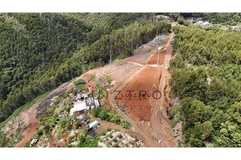 Terreno en Gaula, Madeira, Gaula - € 650.000 | Ref: TER_50 - photo 6