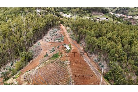Terreno en Gaula, Madeira, Gaula - € 650.000 | Ref: TER_50 - photo 7