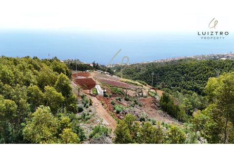 Terreno en Gaula, Madeira, Gaula - € 650.000 | Ref: TER_50 - photo 8