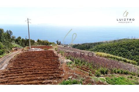 Terreno en Gaula, Madeira, Gaula - € 650.000 | Ref: TER_50 - photo 9