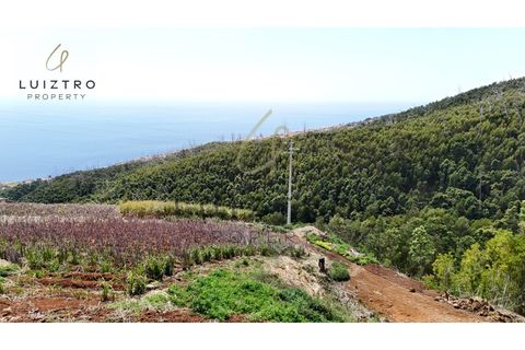 Terreno en Gaula, Madeira, Gaula - € 650.000 | Ref: TER_50 - photo 10