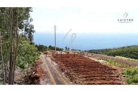 Terreno en Gaula, Madeira, Gaula - € 650.000 | Ref: TER_50 - photo 11