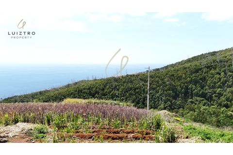 Terreno en Gaula, Madeira, Gaula - € 650.000 | Ref: TER_50 - photo 12