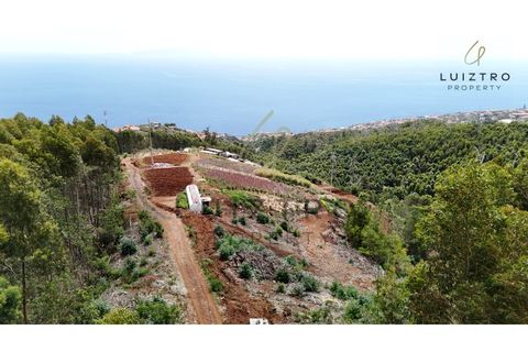 Terreno en Gaula, Madeira, Gaula - € 650.000 | Ref: TER_50 - photo 13