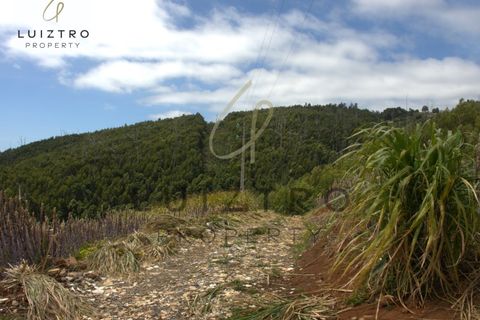 Terreno en Gaula, Madeira, Gaula - € 650.000 | Ref: TER_50 - photo 14