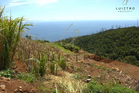Terreno en Gaula, Madeira, Gaula - € 650.000 | Ref: TER_50 - photo 15