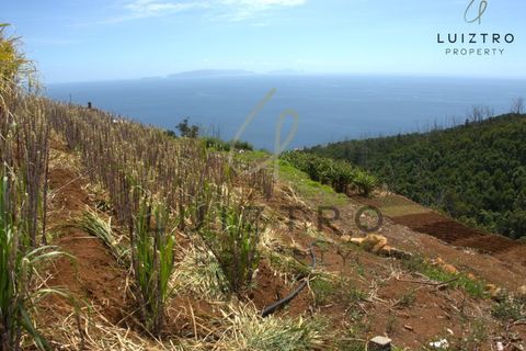 Terreno en Gaula, Madeira, Gaula - € 650.000 | Ref: TER_50 - photo 17