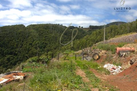 Terreno en Gaula, Madeira, Gaula - € 650.000 | Ref: TER_50 - photo 18