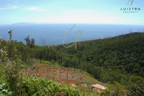Terreno en Gaula, Madeira, Gaula - € 650.000 | Ref: TER_50 - photo 19