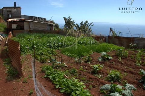 Terreno en Gaula, Madeira, Gaula - € 650.000 | Ref: TER_50 - photo 23