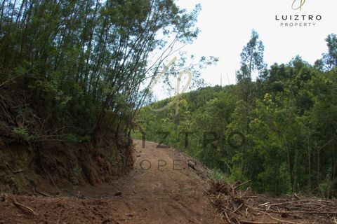 Terreno en Gaula, Madeira, Gaula - € 650.000 | Ref: TER_50 - photo 24