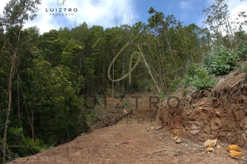 Terreno en Gaula, Madeira, Gaula - € 650.000 | Ref: TER_50 - photo 25