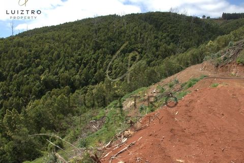 Terreno en Gaula, Madeira, Gaula - € 650.000 | Ref: TER_50 - photo 28