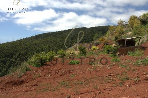 Terreno en Gaula, Madeira, Gaula - € 650.000 | Ref: TER_50 - photo 29