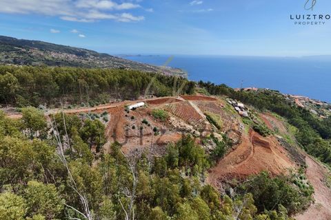 Terreno en Gaula, Madeira, Gaula - € 650.000 | Ref: TER_50 - photo 32