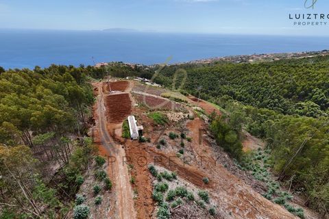 Terreno en Gaula, Madeira, Gaula - € 650.000 | Ref: TER_50 - photo 36