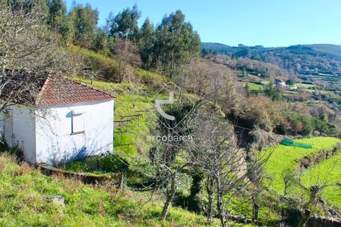 Byhus i Paredes de Coura, Viana do Castelo, Paredes de Coura - € 90.000 | Ref: AV5239 - foto 9