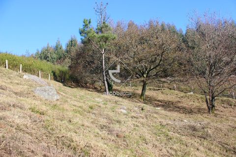 Byhus i Paredes de Coura, Viana do Castelo, Paredes de Coura - € 90.000 | Ref: AV5239 - foto 33