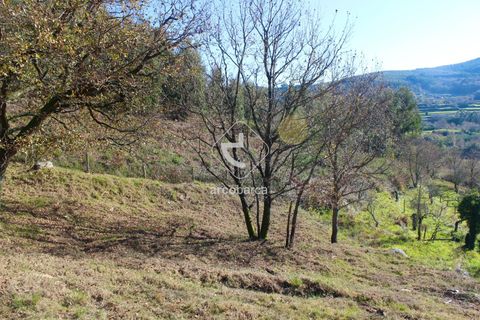 Byhus i Paredes de Coura, Viana do Castelo, Paredes de Coura - € 90.000 | Ref: AV5239 - foto 34
