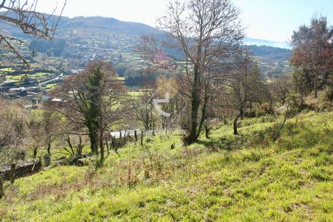 Byhus i Paredes de Coura, Viana do Castelo, Paredes de Coura - € 90.000 | Ref: AV5239 - foto 39