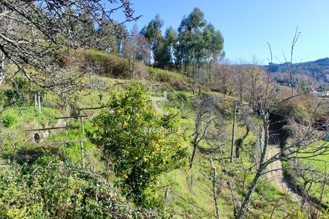 Byhus i Paredes de Coura, Viana do Castelo, Paredes de Coura - € 90.000 | Ref: AV5239 - foto 40