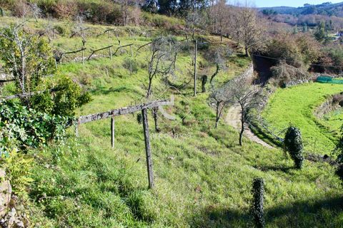 Byhus i Paredes de Coura, Viana do Castelo, Paredes de Coura - € 90.000 | Ref: AV5239 - foto 41