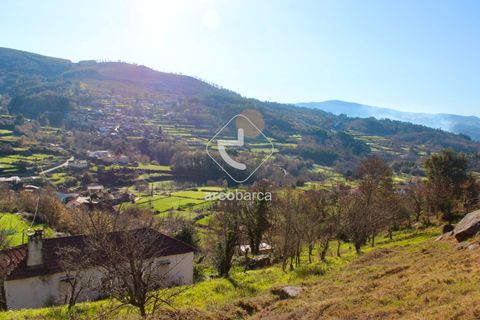 Byhus i Paredes de Coura, Viana do Castelo, Paredes de Coura - € 90.000 | Ref: AV5239 - foto 42