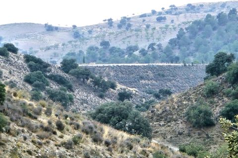Cortijo i Velez-Rubio, Almeria, Velez-Rubio - € 195.000 | Ref: A1468 - foto 30