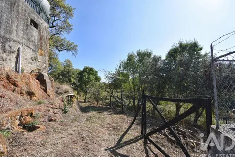 Farm i Penela, Coimbra, Penela - € 180.000 | Ref: 739339 - foto 3