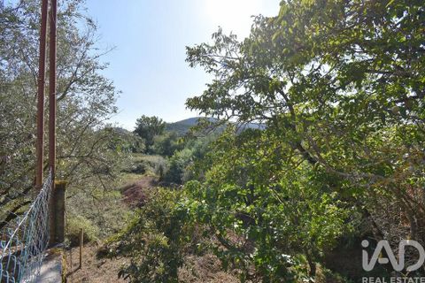 Farm i Penela, Coimbra, Penela - € 180.000 | Ref: 739339 - foto 5